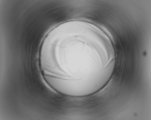 X0000116421100201001191445