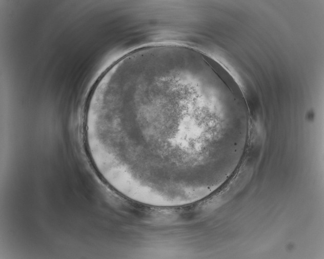X0000116421101201001191445