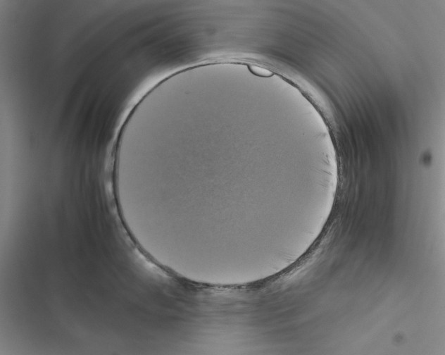 X0000116421102201001191445