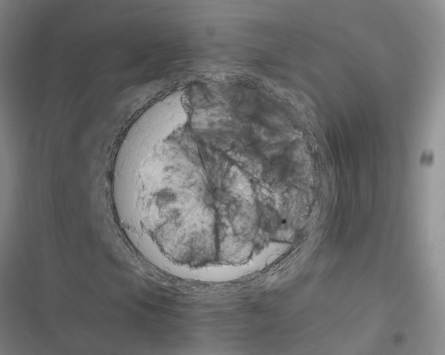 X0000116421105201001191444
