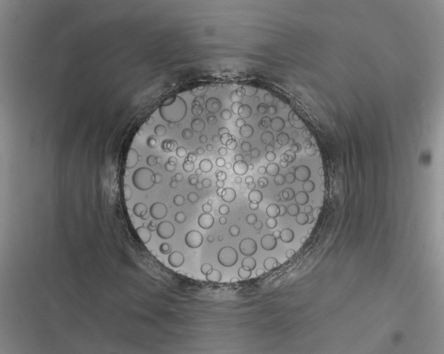 X0000116421106201001191444