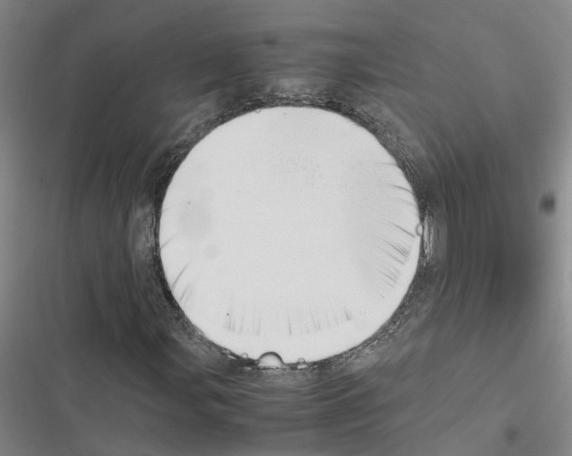X0000116421107201001191444