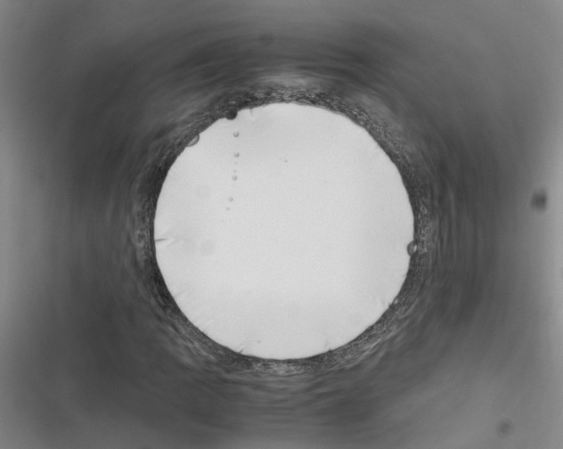 X0000116421109201001191444