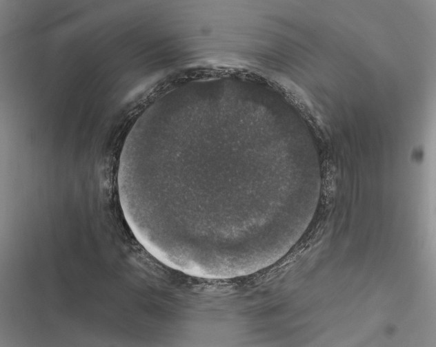 X0000116421110201001191444