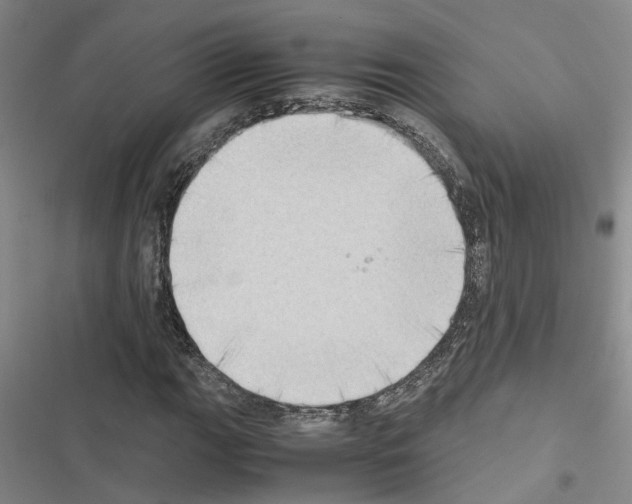 X0000116421111201001191444