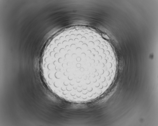 X0000116421113201001191444