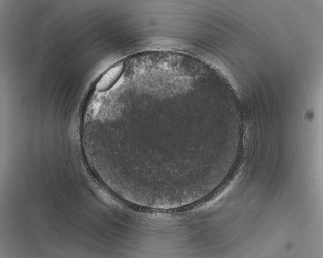 X0000116421114201001191444