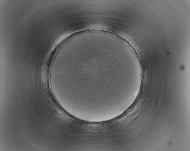 X0000116421115201001191444
