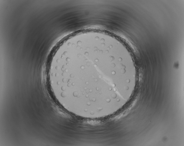 X0000116421117201001191444