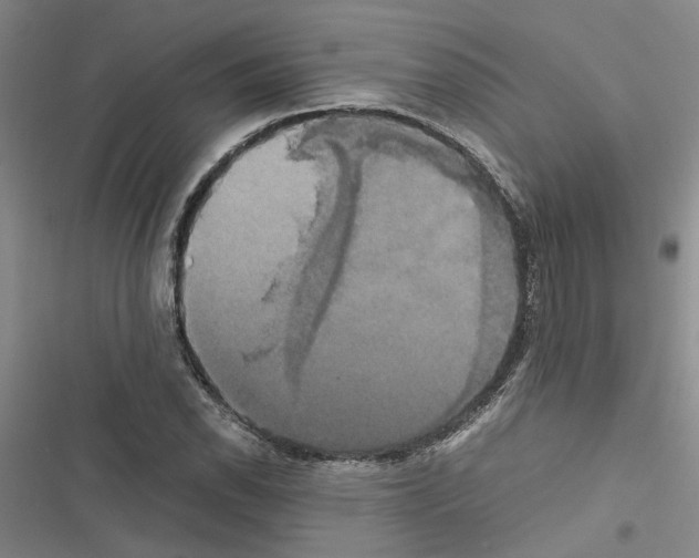 X0000116421118201001191444