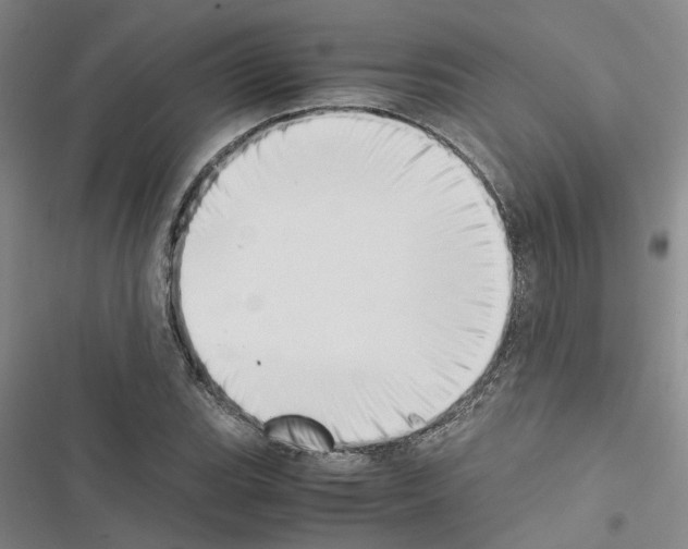 X0000116421119201001191444