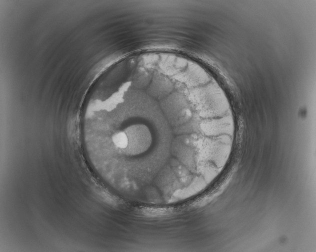 X0000116421121201001191444