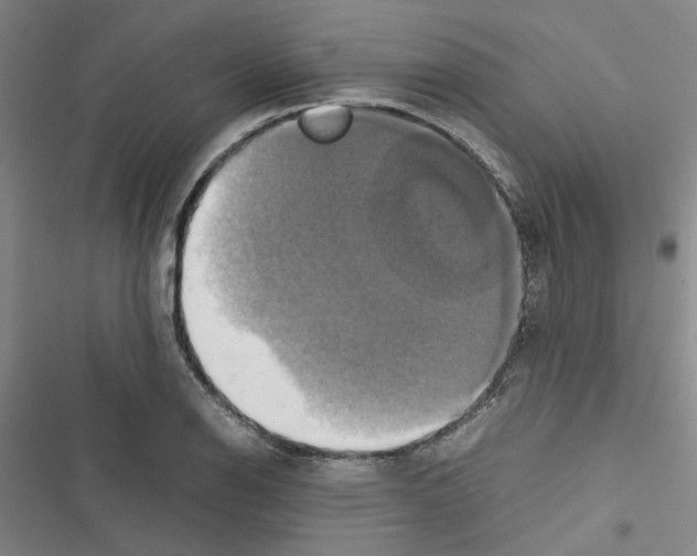 X0000116421126201001191444