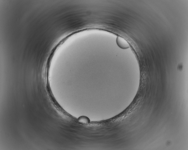 X0000116421127201001191444