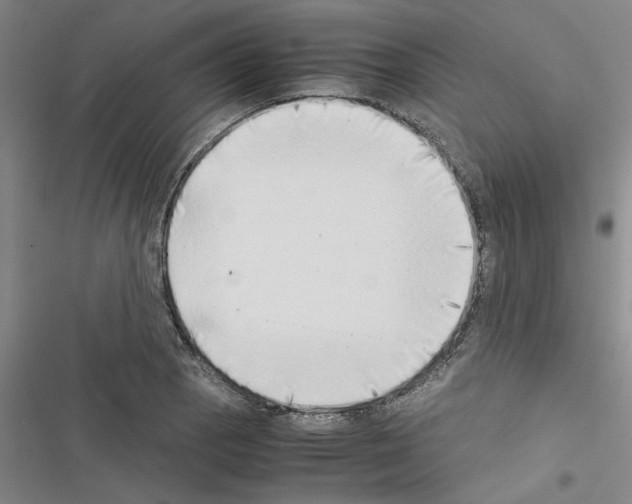 X0000116421129201001191444