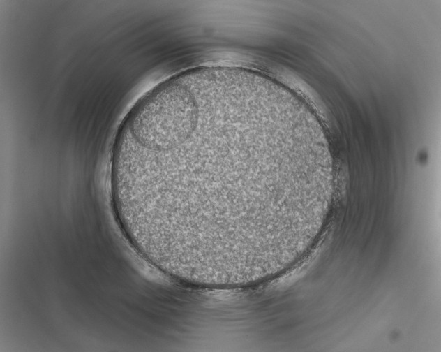 X0000116421130201001191444