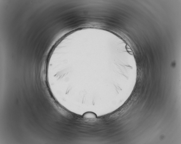 X0000116421131201001191444