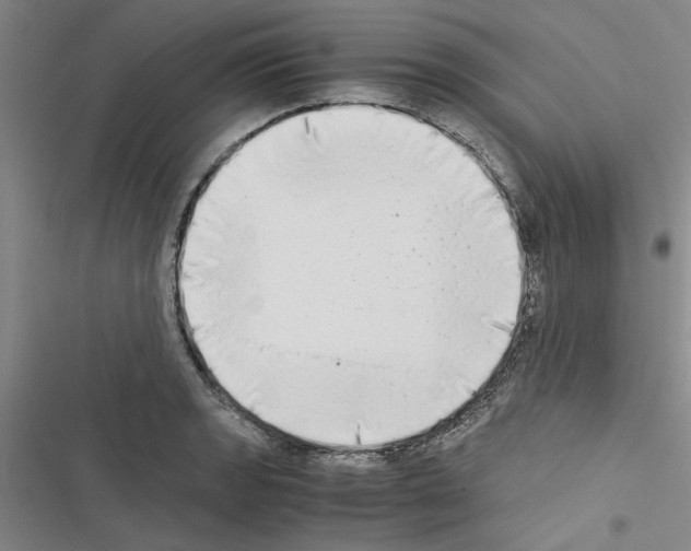 X0000116421133201001191444