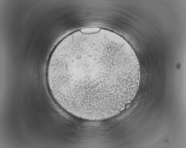 X0000116421134201001191444