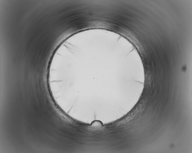 X0000116421135201001191444