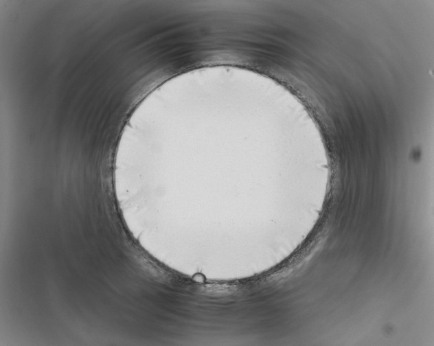X0000116421137201001191444
