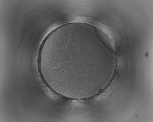 X0000116421138201001191444