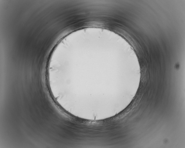 X0000116421139201001191444