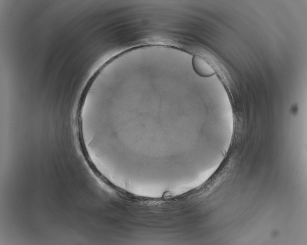 X0000116421141201001191444