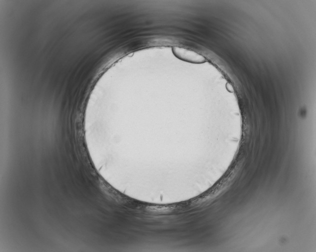 X0000116421145201001191444