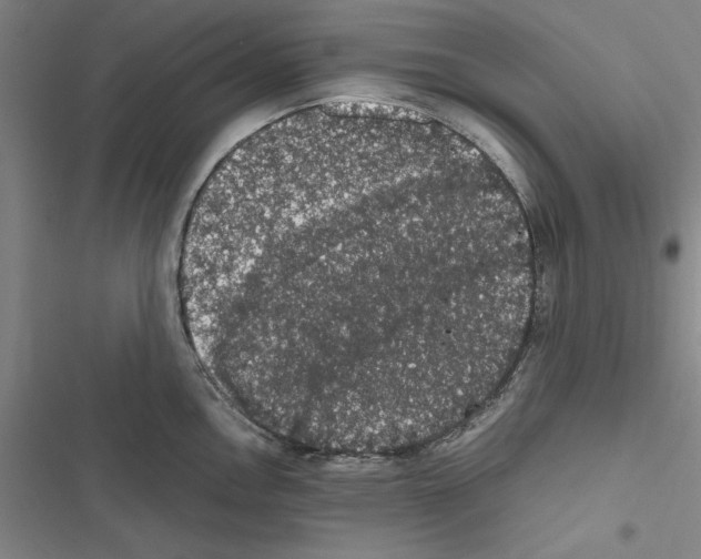 X0000116421146201001191444