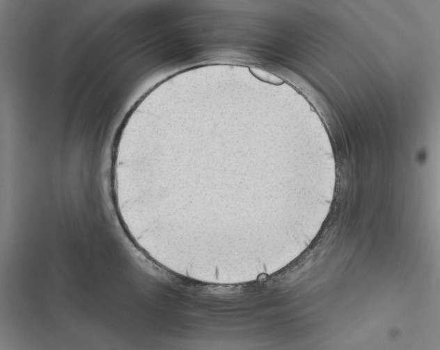 X0000116421147201001191444