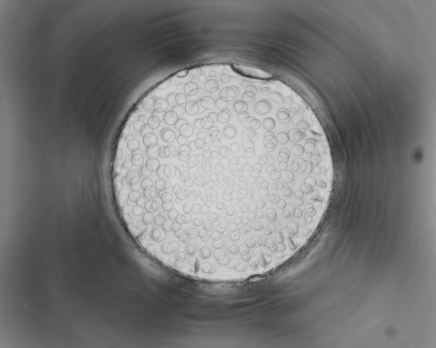 X0000116421149201001191444