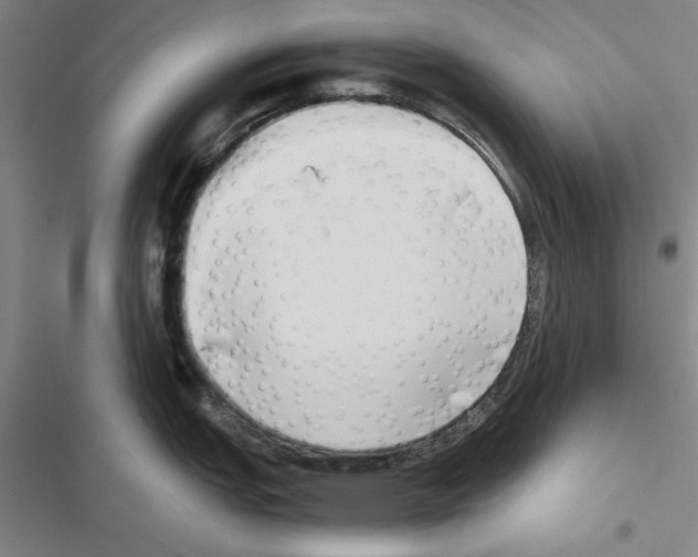 X0000116421151201001191444