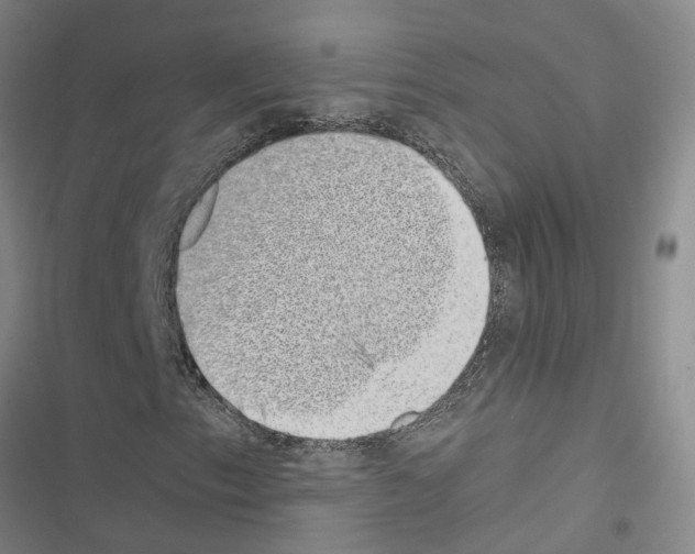 X0000116421153201001191444