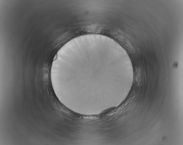 X0000116421154201001191444