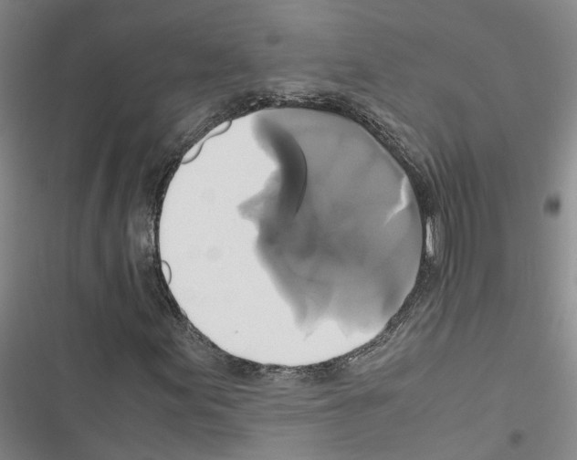 X0000116421155201001191444