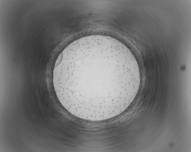 X0000116421156201001191444