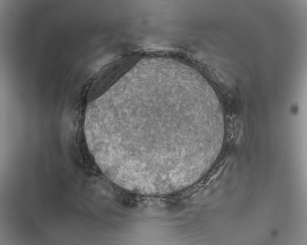 X0000116421157201001191444