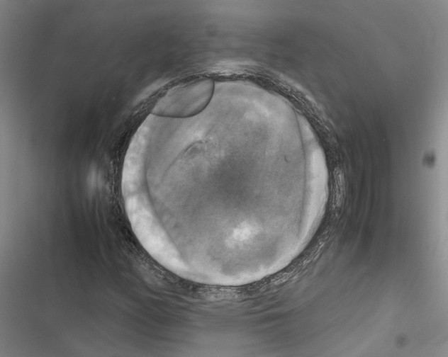 X0000116421158201001191444