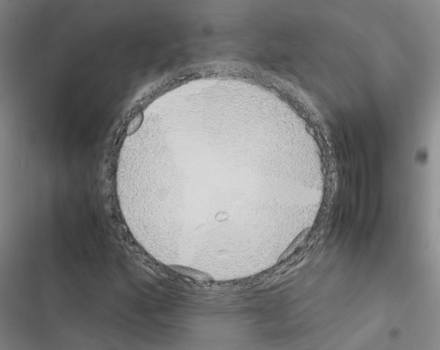 X0000116421160201001191444