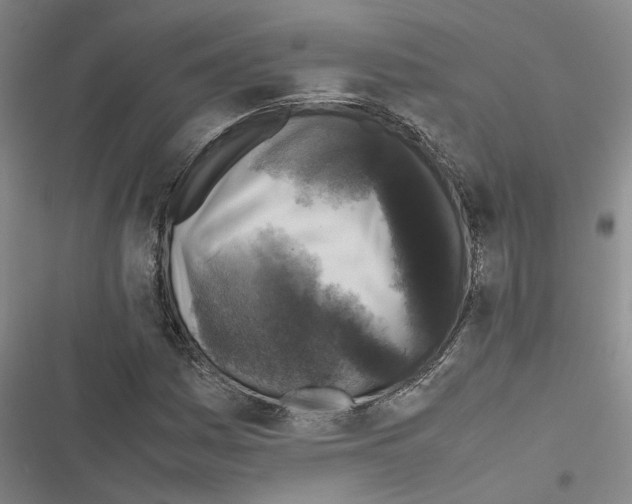 X0000116421161201001191444