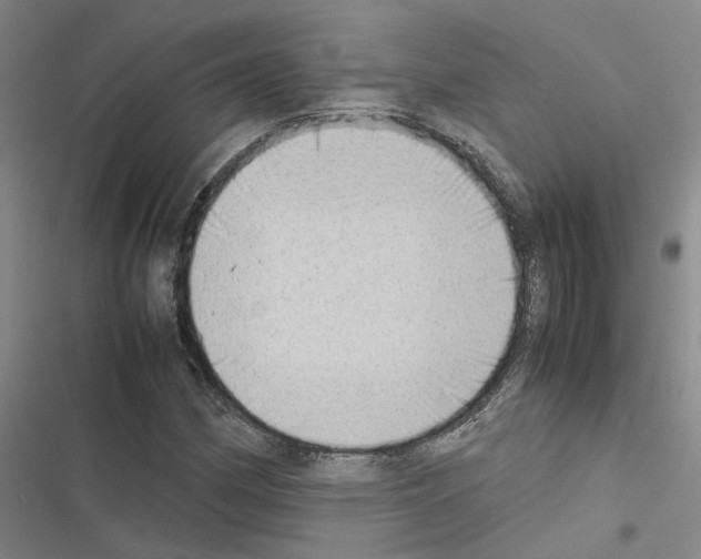 X0000116421162201001191444