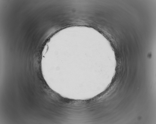 X0000116421163201001191444