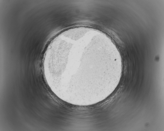 X0000116421164201001191444