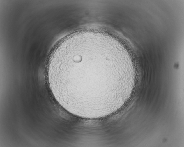 X0000116421166201001191444