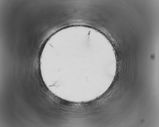 X0000116421167201001191444