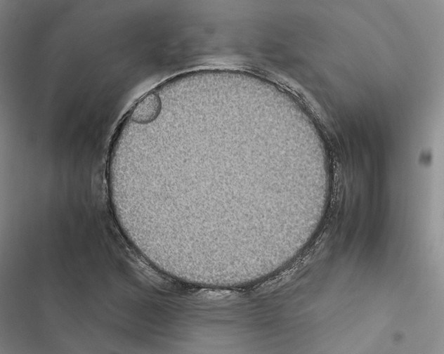 X0000116421168201001191444