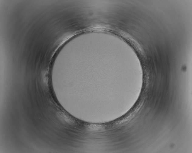 X0000116421170201001191444