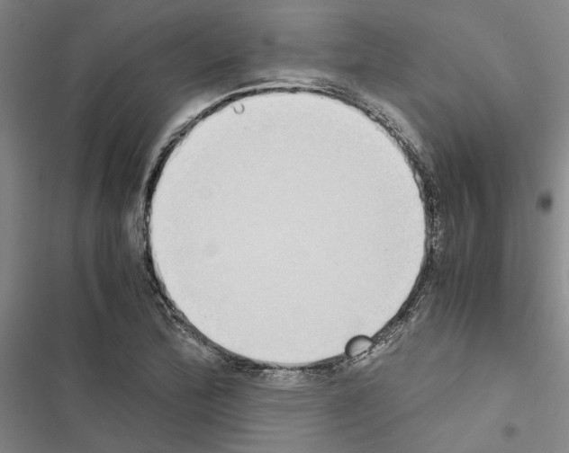 X0000116421172201001191444