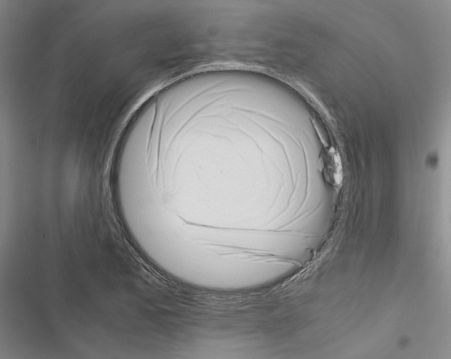 X0000116421173201001191444